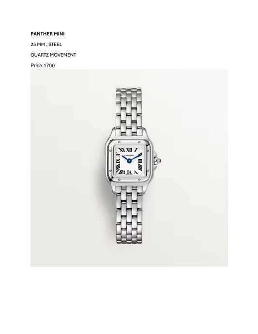 PANTHER MINI - STEEL